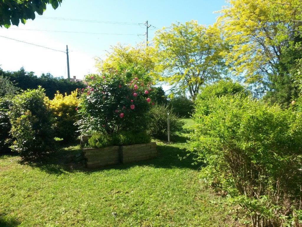 Casavittorio Bed & Breakfast San Giovanni In Marignano Exterior photo